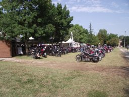 motoduck 2013_053